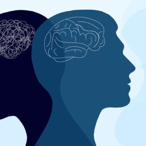 Humanities & Social Sciences